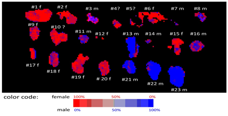 Différence en contenu d'ADN mesurée par spectroscopie